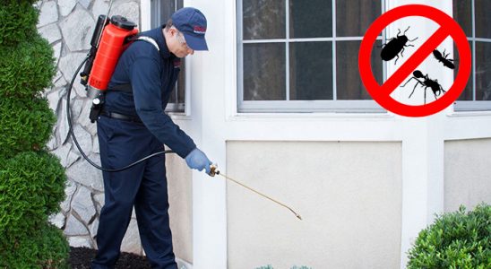 Kapaklı Tahtakurusu İlaçlama böcek ilaçlama ve haşere kontrolü — ilaclama-tr.com
